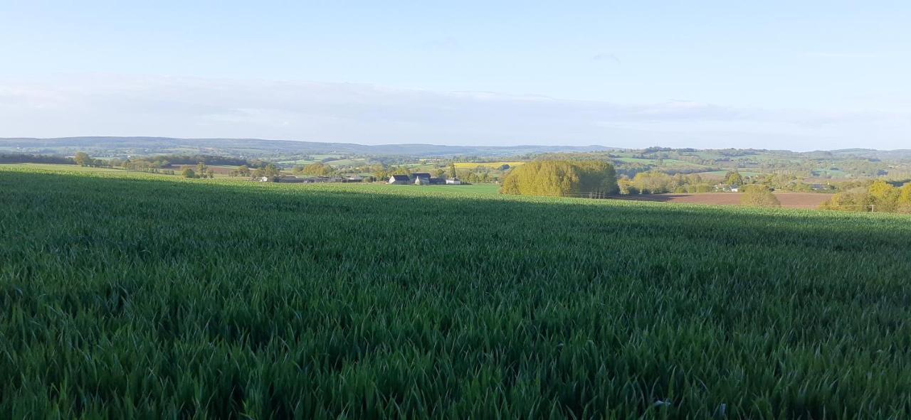 Private Farmhouse For Six In The Countryside Saint-Pierre-sur-Orthe المظهر الخارجي الصورة